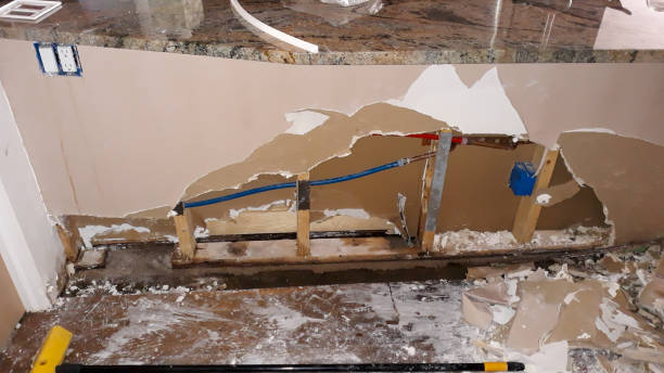 Best Water damage restoration mold remediation  in Mechanicsville, VA