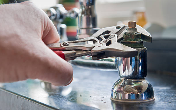 Best Mold removal after water damage  in Mechanicsville, VA