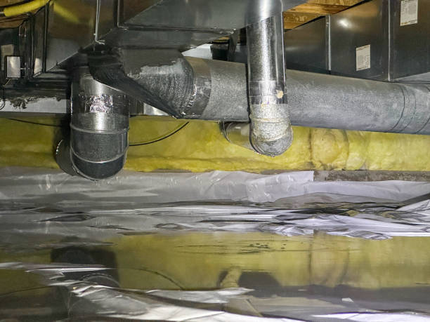Best Ceiling water damage repair  in Mechanicsville, VA