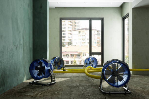 Best Commercial water damage restoration  in Mechanicsville, VA