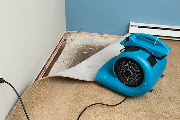 Reliable Mechanicsville, VA Water damage restoration Solutions
